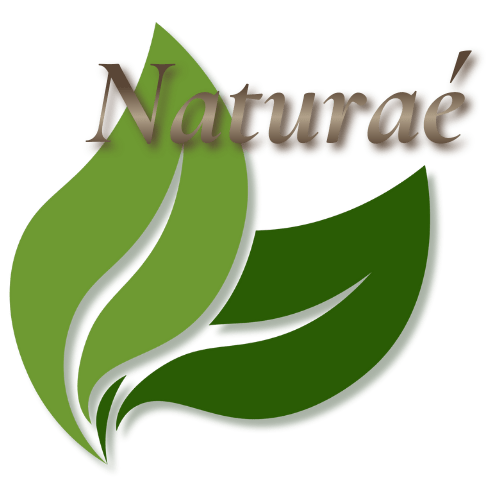 logo naturaé template site vitrine wordpress périnatalité bien-être
